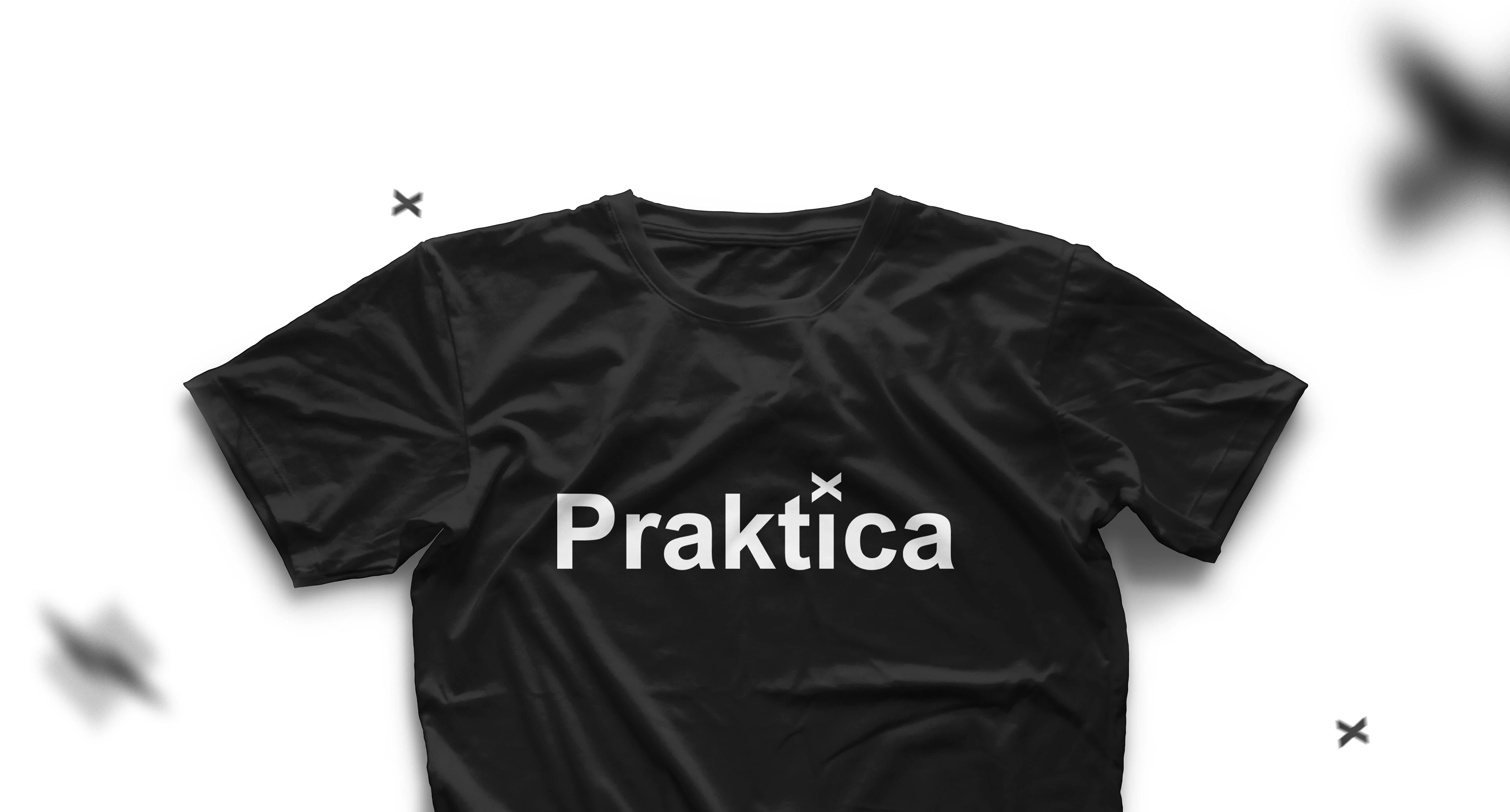 Praktica — сервис по доставке товаров — Изображение №8 — Брендинг на Dprofile