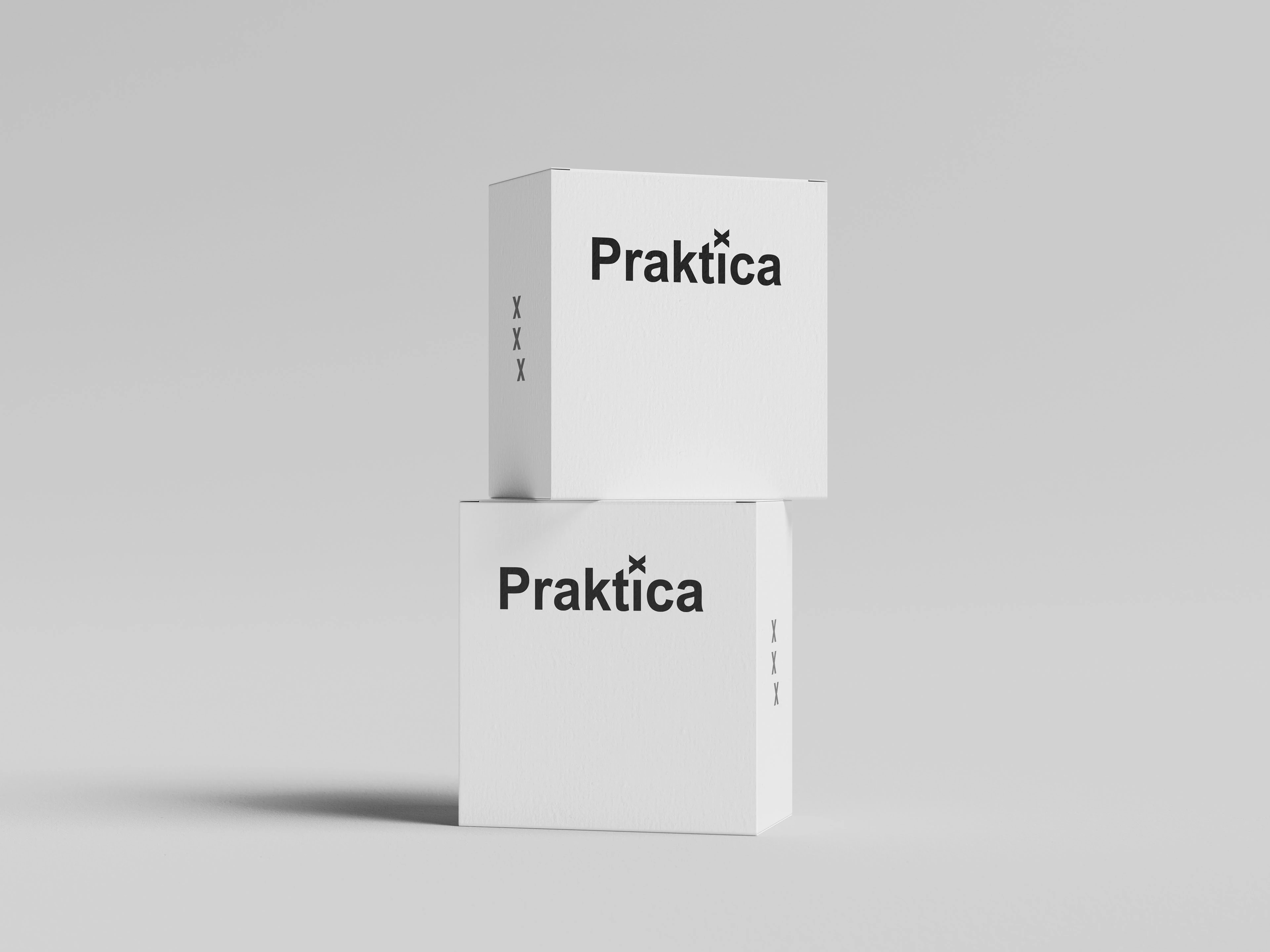 Praktica — сервис по доставке товаров — Изображение №6 — Брендинг на Dprofile