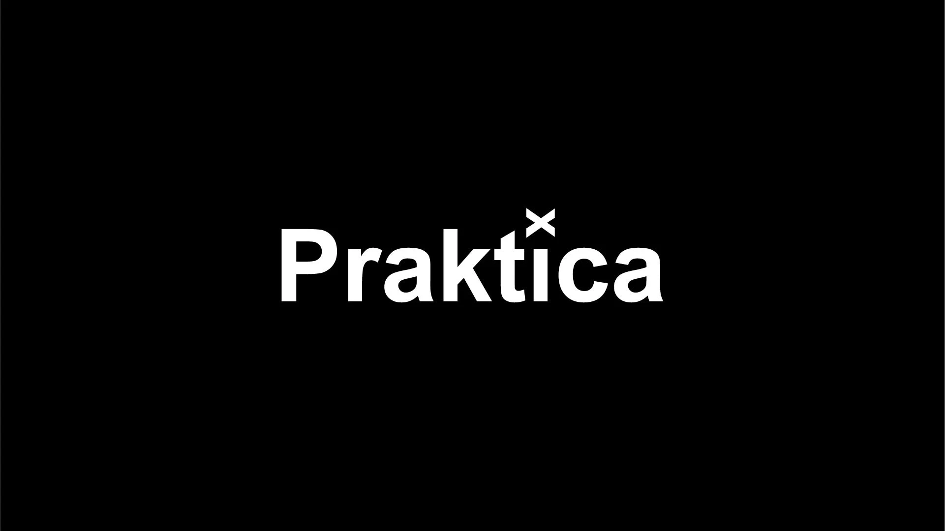 Praktica — сервис по доставке товаров — Изображение №2 — Брендинг на Dprofile