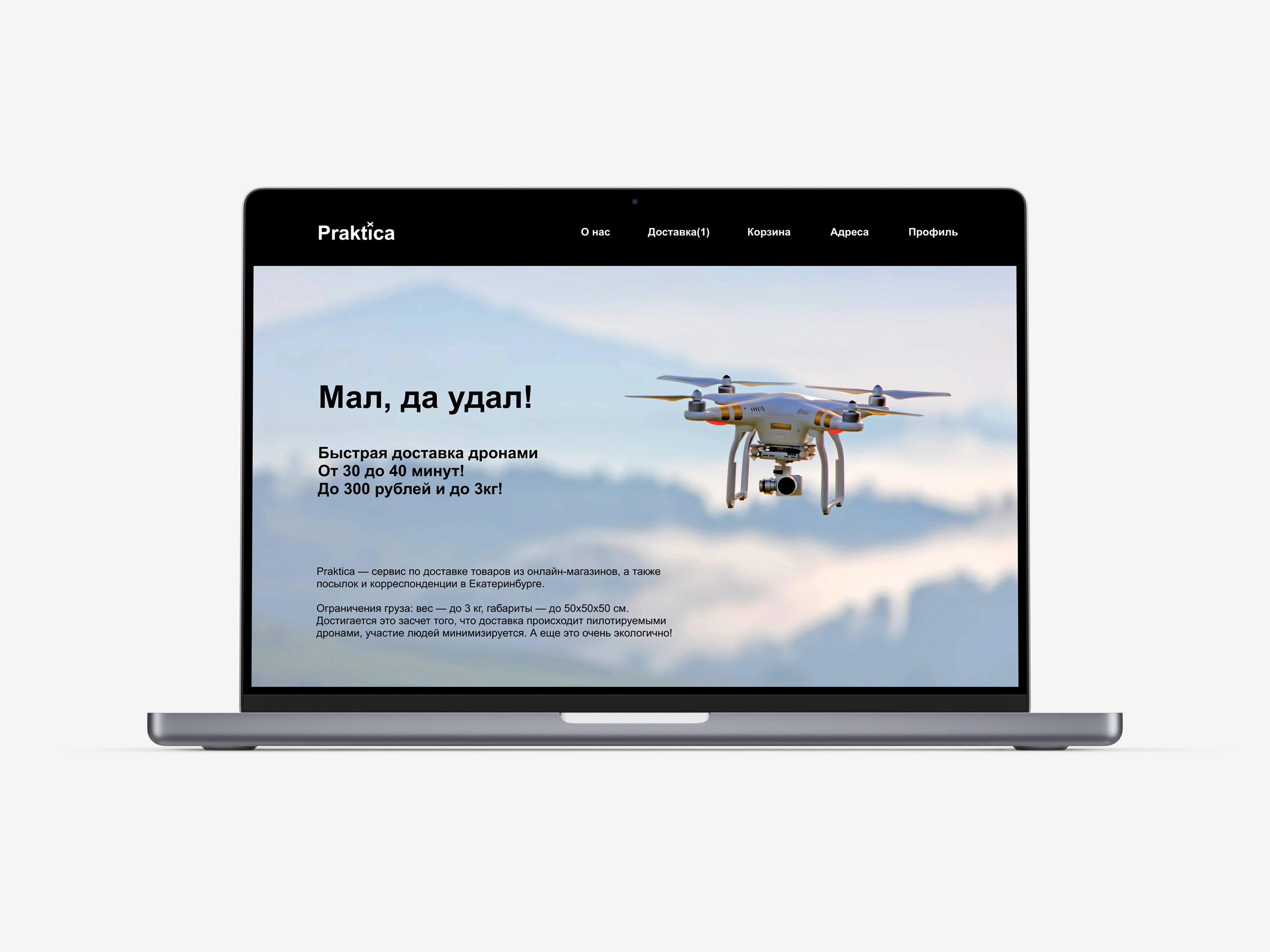 Praktica — сервис по доставке товаров — Изображение №7 — Брендинг на Dprofile