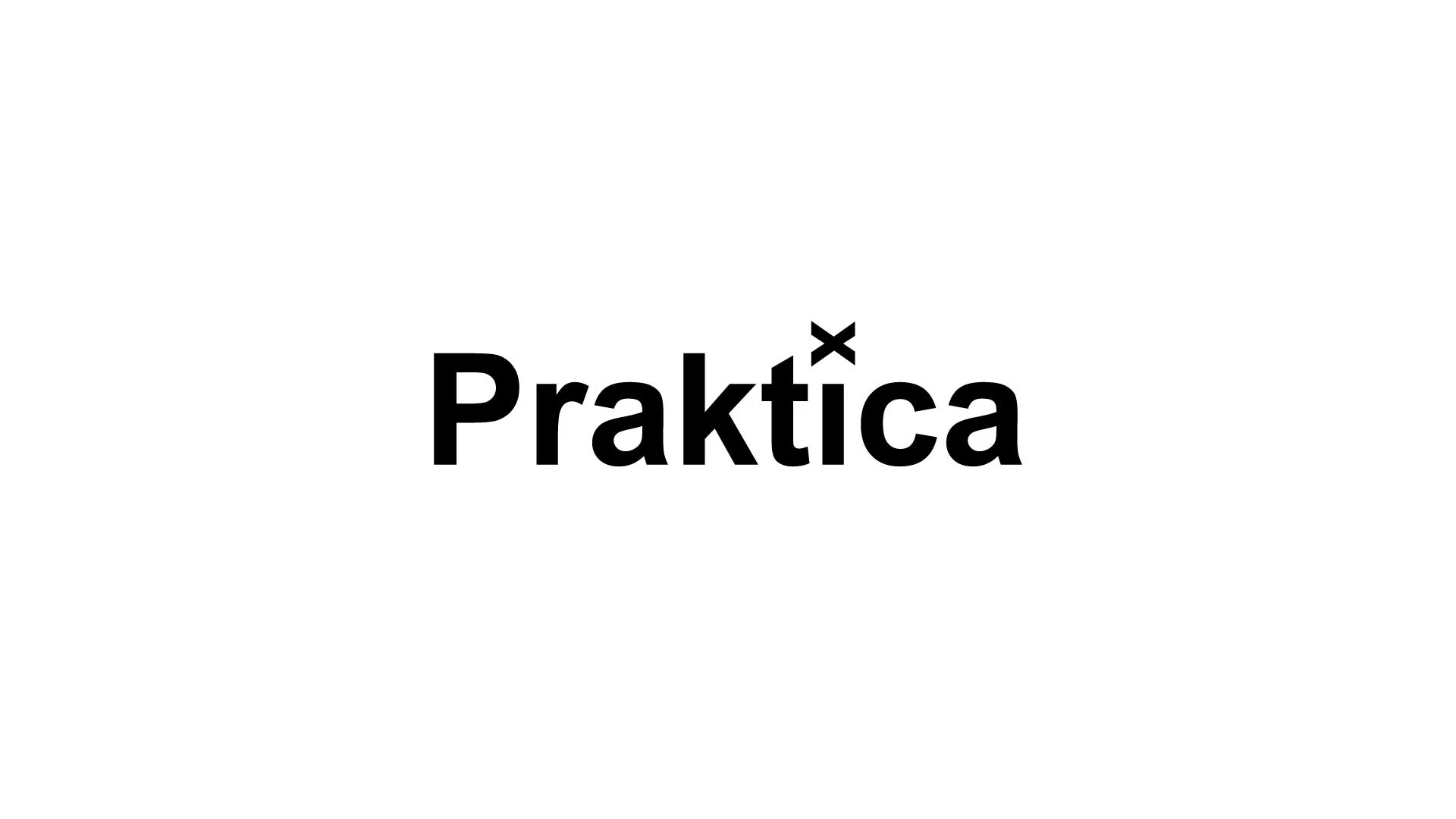Praktica — сервис по доставке товаров — Изображение №3 — Брендинг на Dprofile