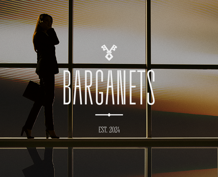 Barganets | Закрытый бизнес-клуб — Интерфейсы, Анимация на Dprofile