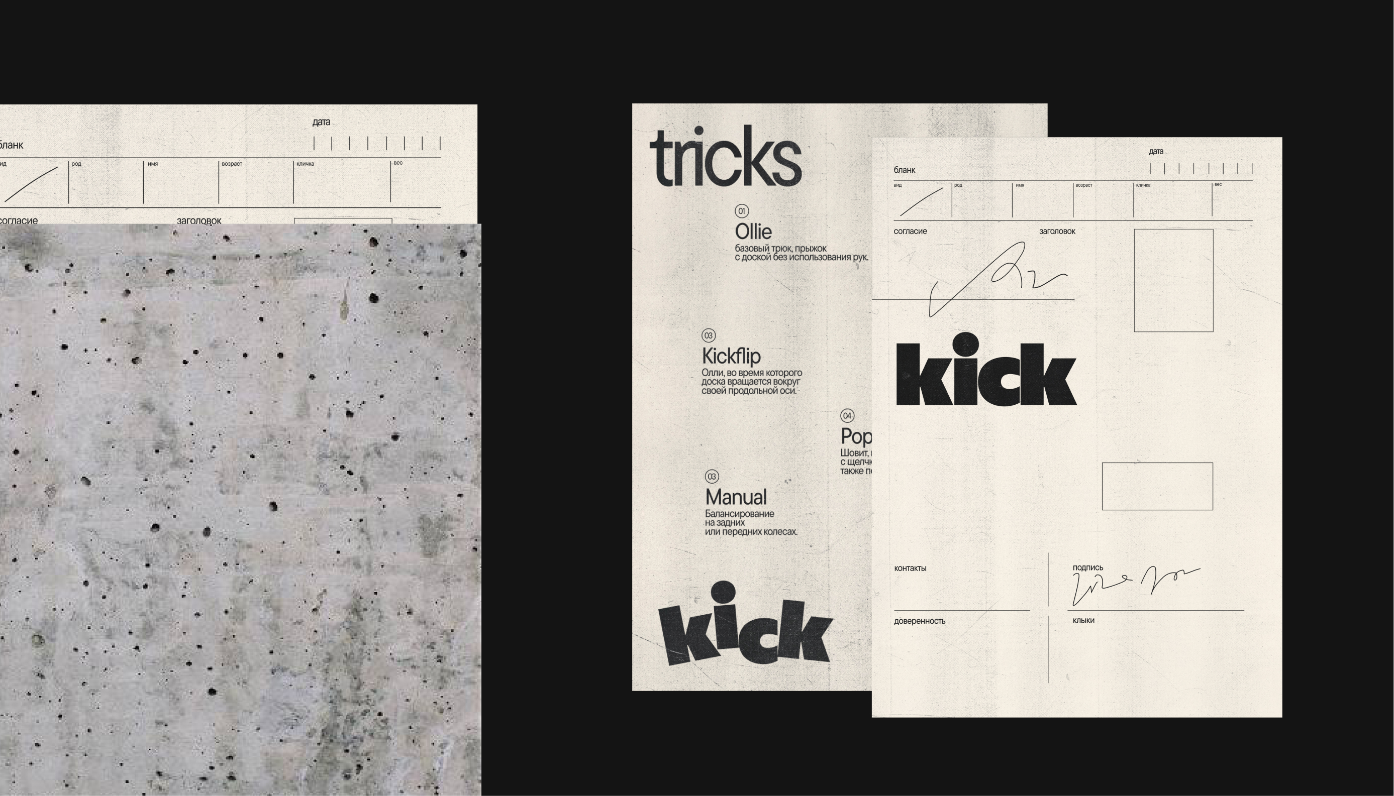 KICK — скейт-парк для кошек — Изображение №4 — Брендинг, Графика на Dprofile