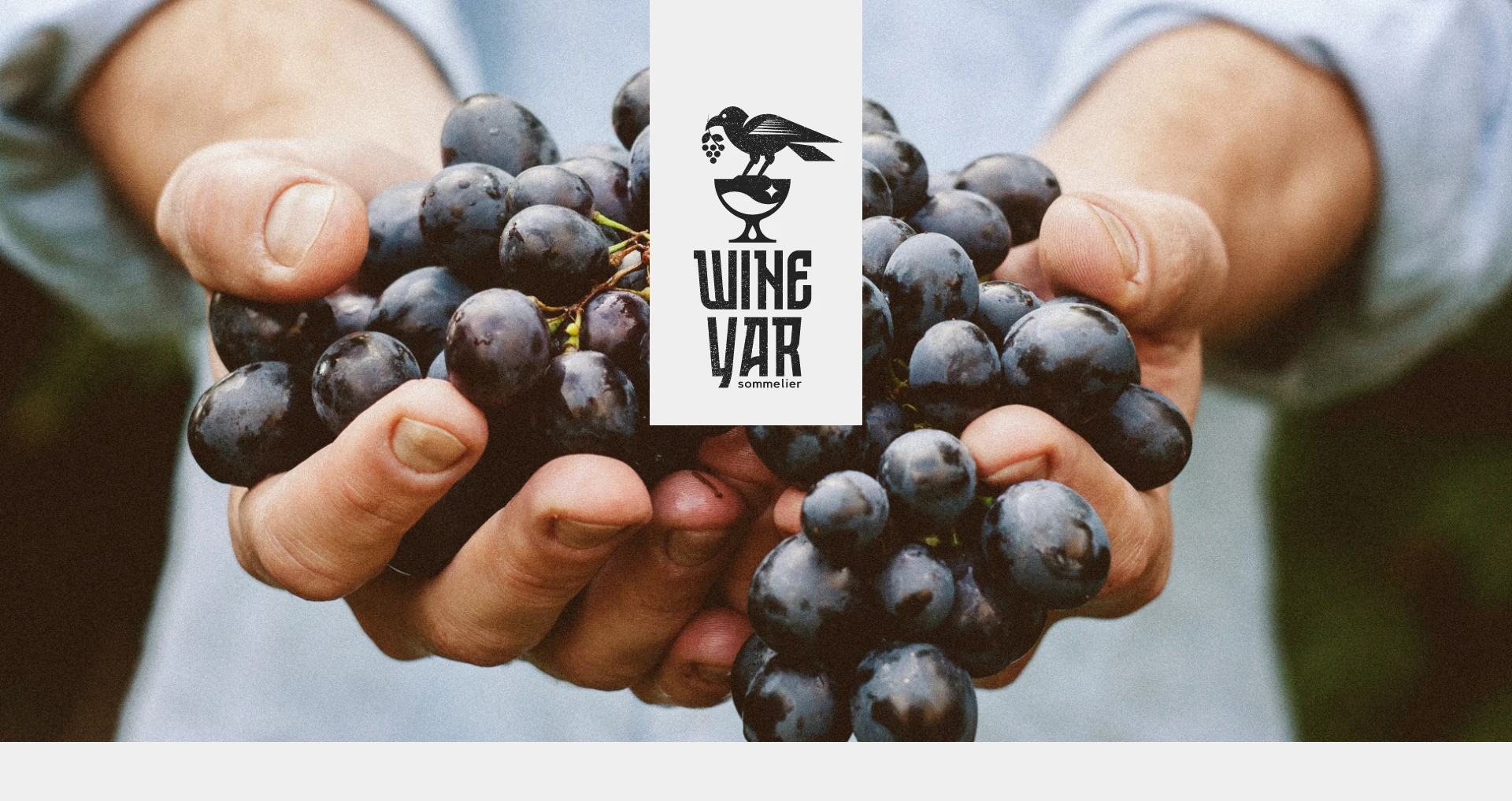 Wine Yar — фирменный стиль для сомелье — Изображение №1 — Брендинг на Dprofile