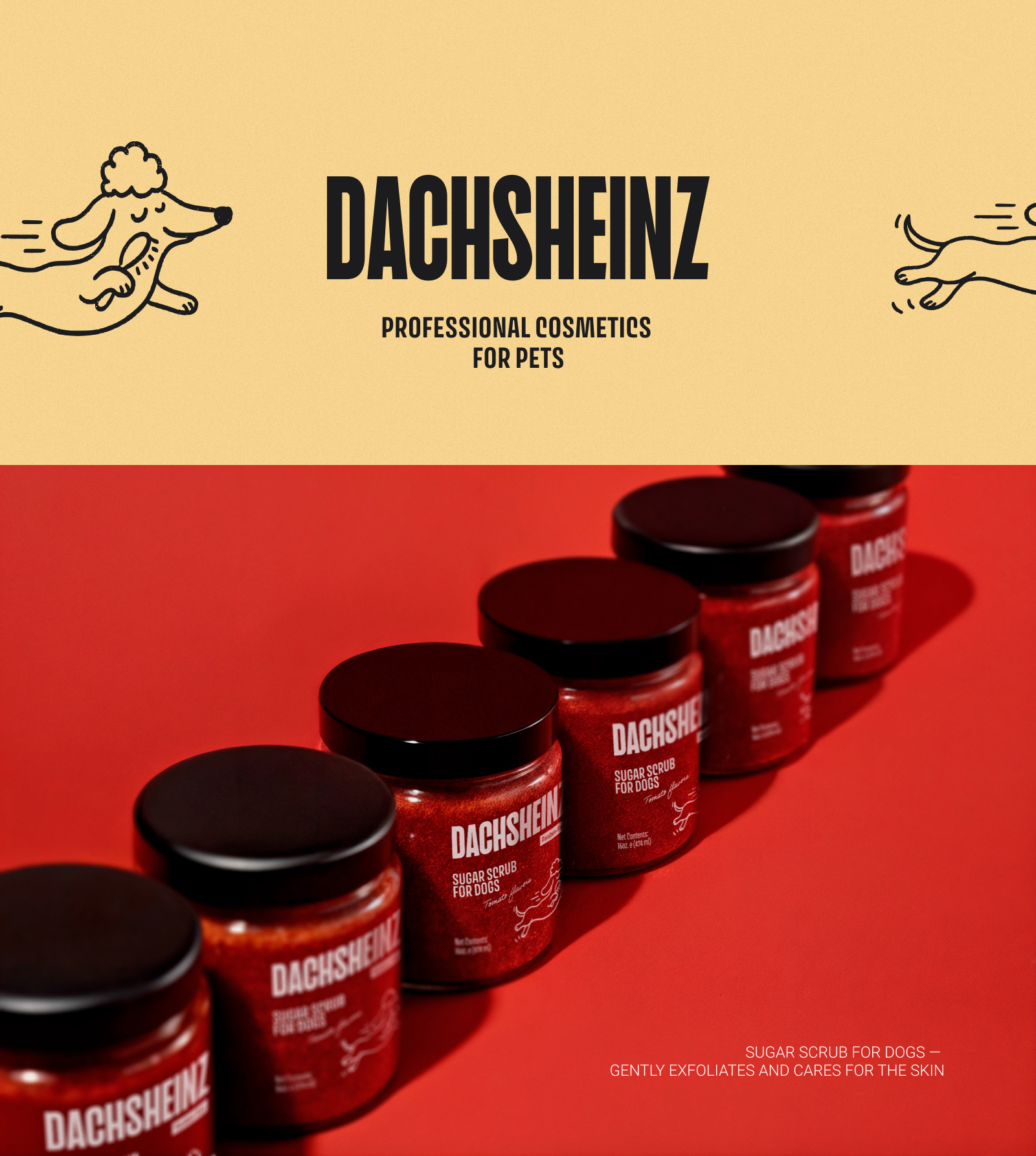 DACHSHEINZ — приправы для шерсти вашего питомца. — Изображение №2 — Брендинг на Dprofile