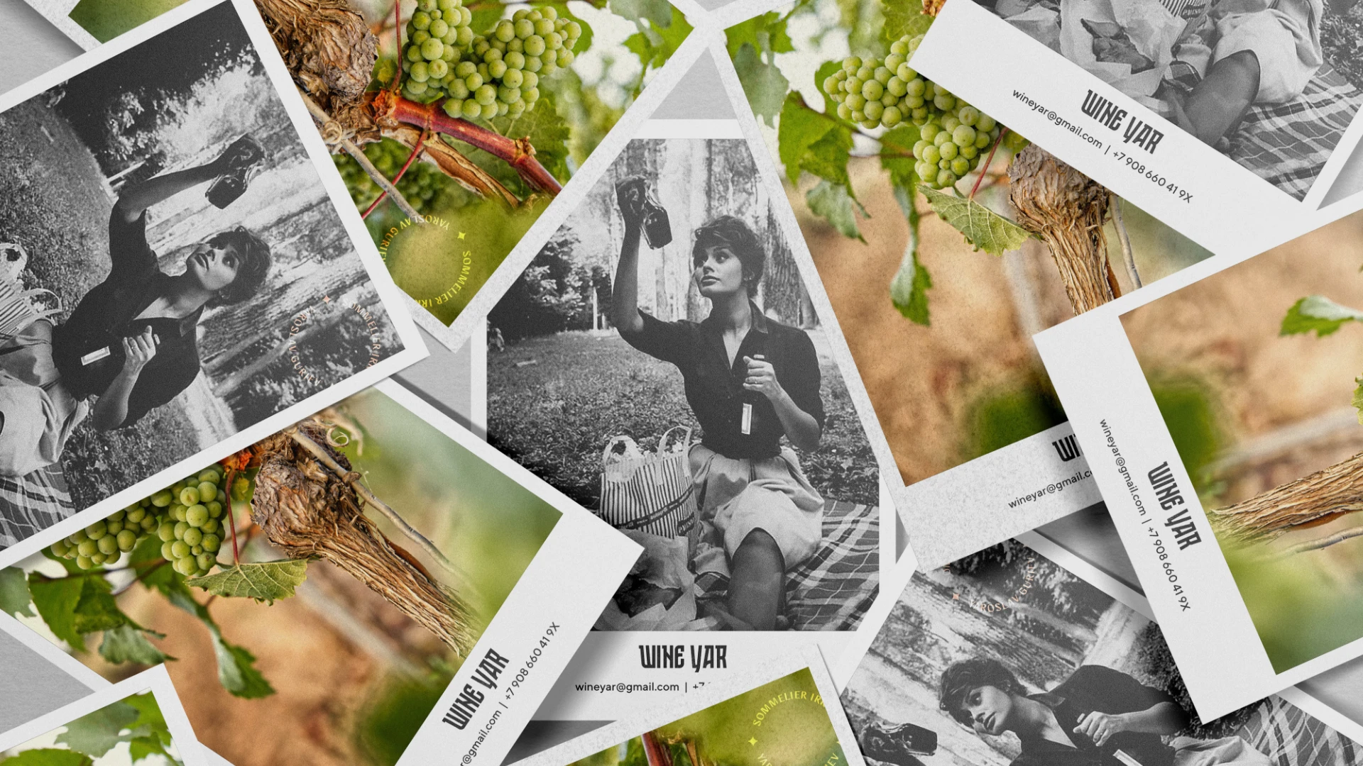 Wine Yar — фирменный стиль для сомелье — Изображение №12 — Брендинг на Dprofile