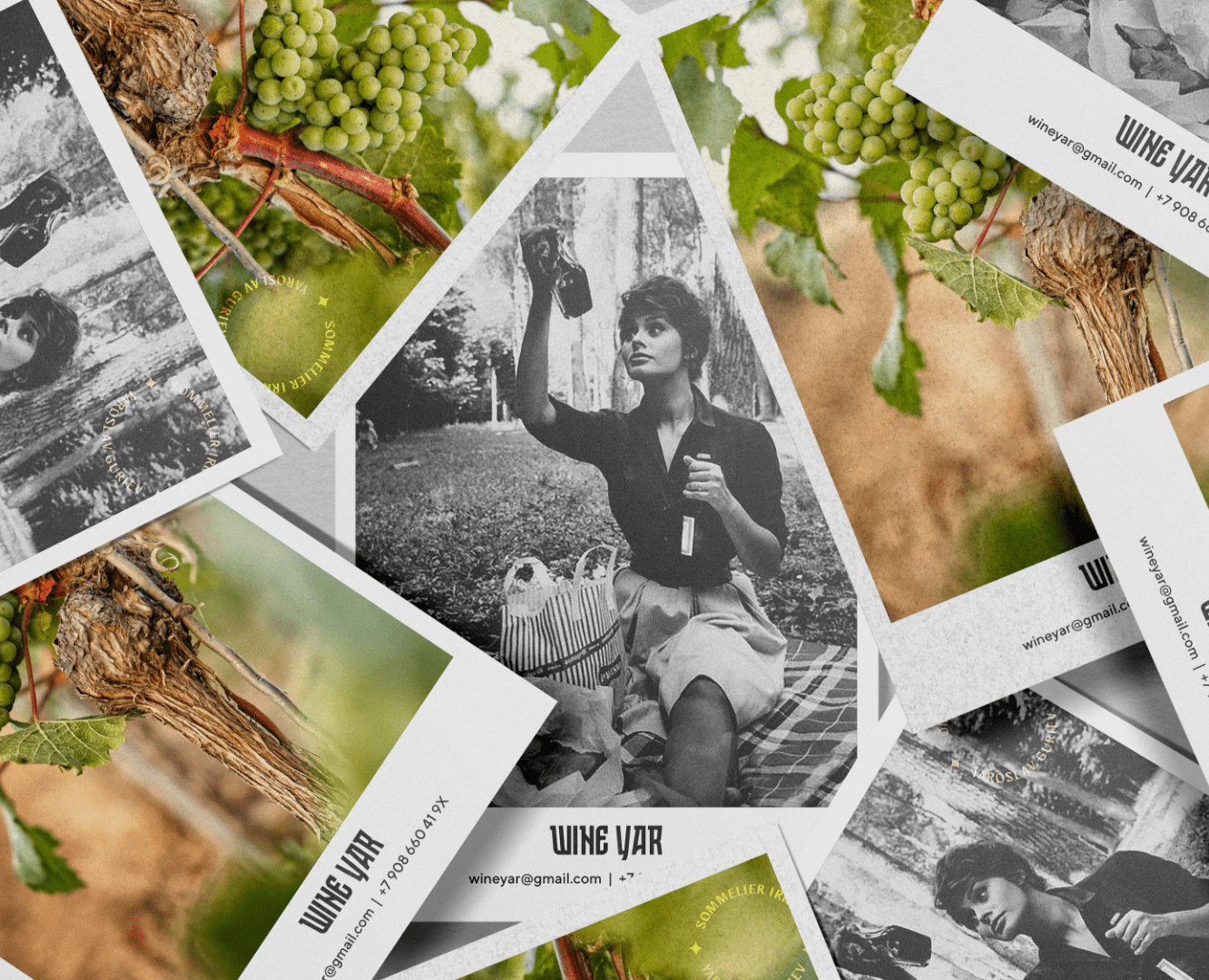 Wine Yar — фирменный стиль для сомелье на Dprofile