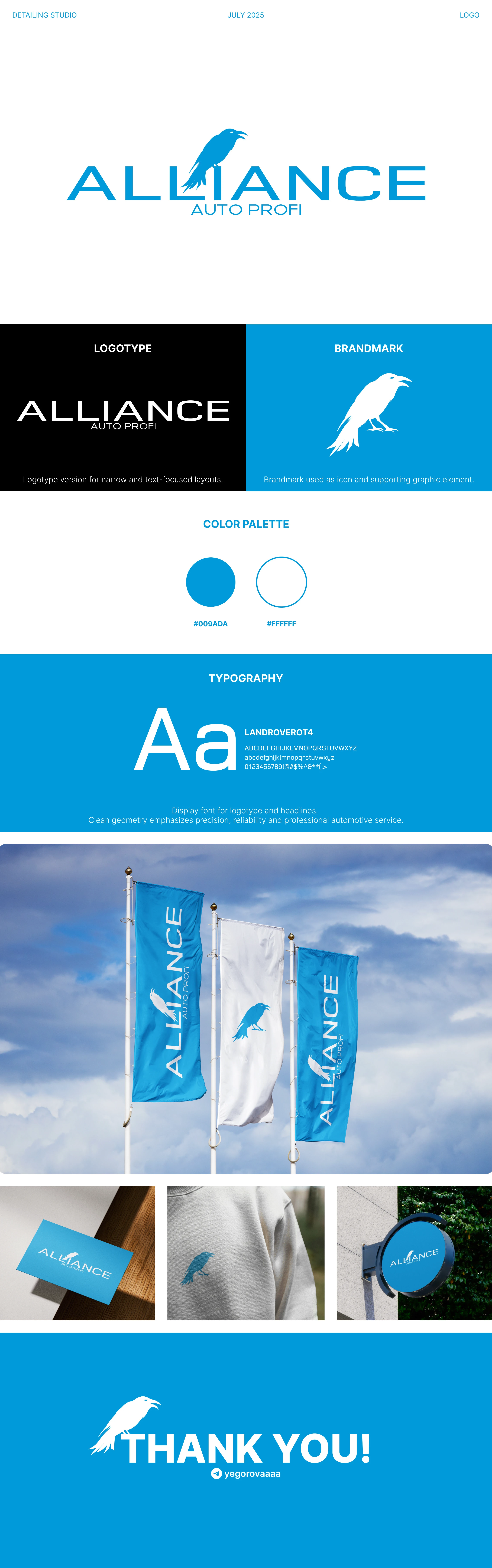 Alliance Auto Profi — Detailing Studio Branding — Изображение №1 — Брендинг на Dprofile