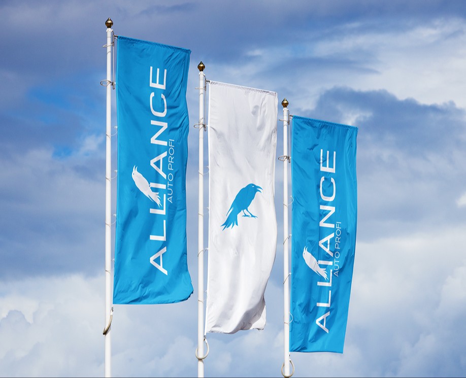 Alliance Auto Profi — Detailing Studio Branding — Брендинг на Dprofile