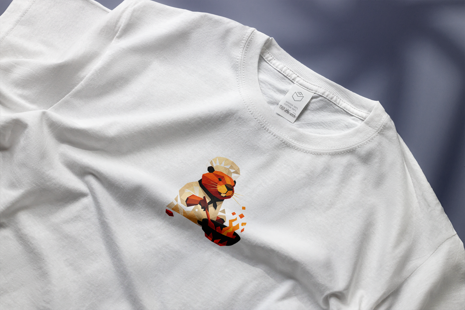 Маскот | Персонаж для учебного заведения — Изображение №5 — Брендинг, Иллюстрация на Dprofile