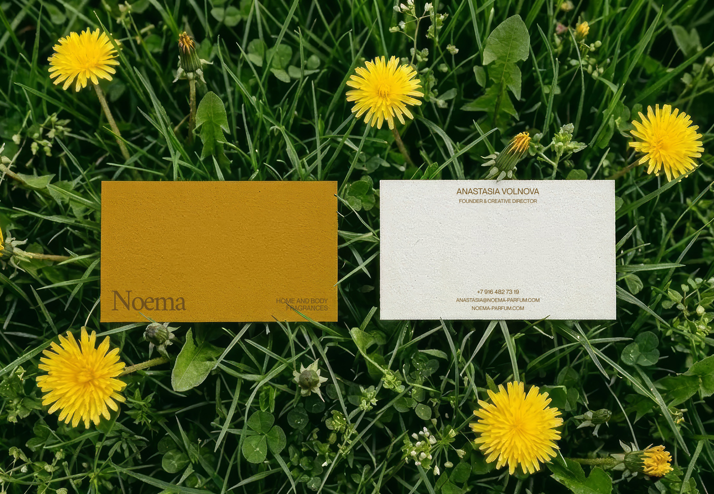 Noema — UX/UI design, E-commerce website — Изображение №5 — Интерфейсы на Dprofile