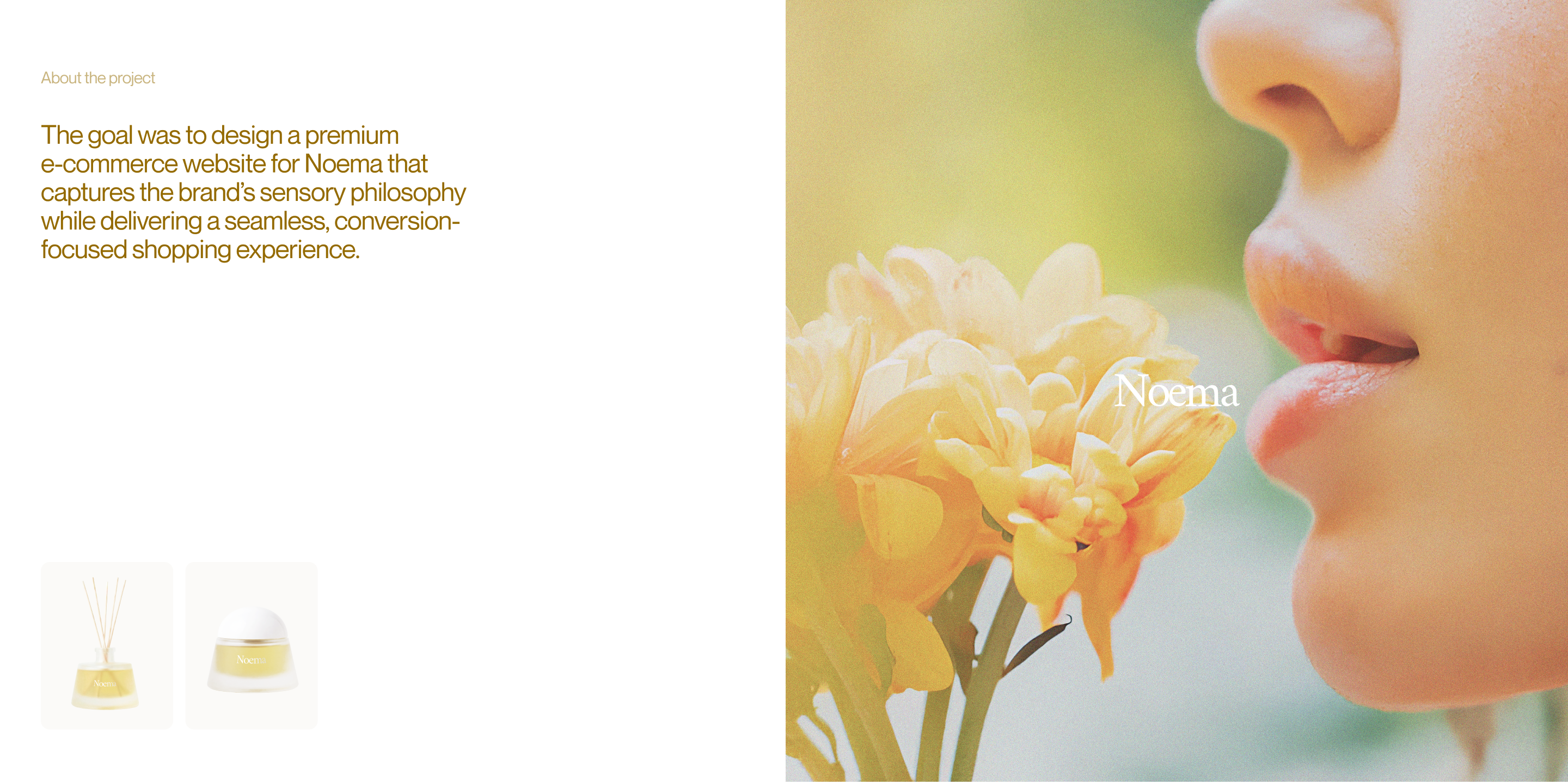 Noema — UX/UI design, E-commerce website — Изображение №2 — Интерфейсы на Dprofile