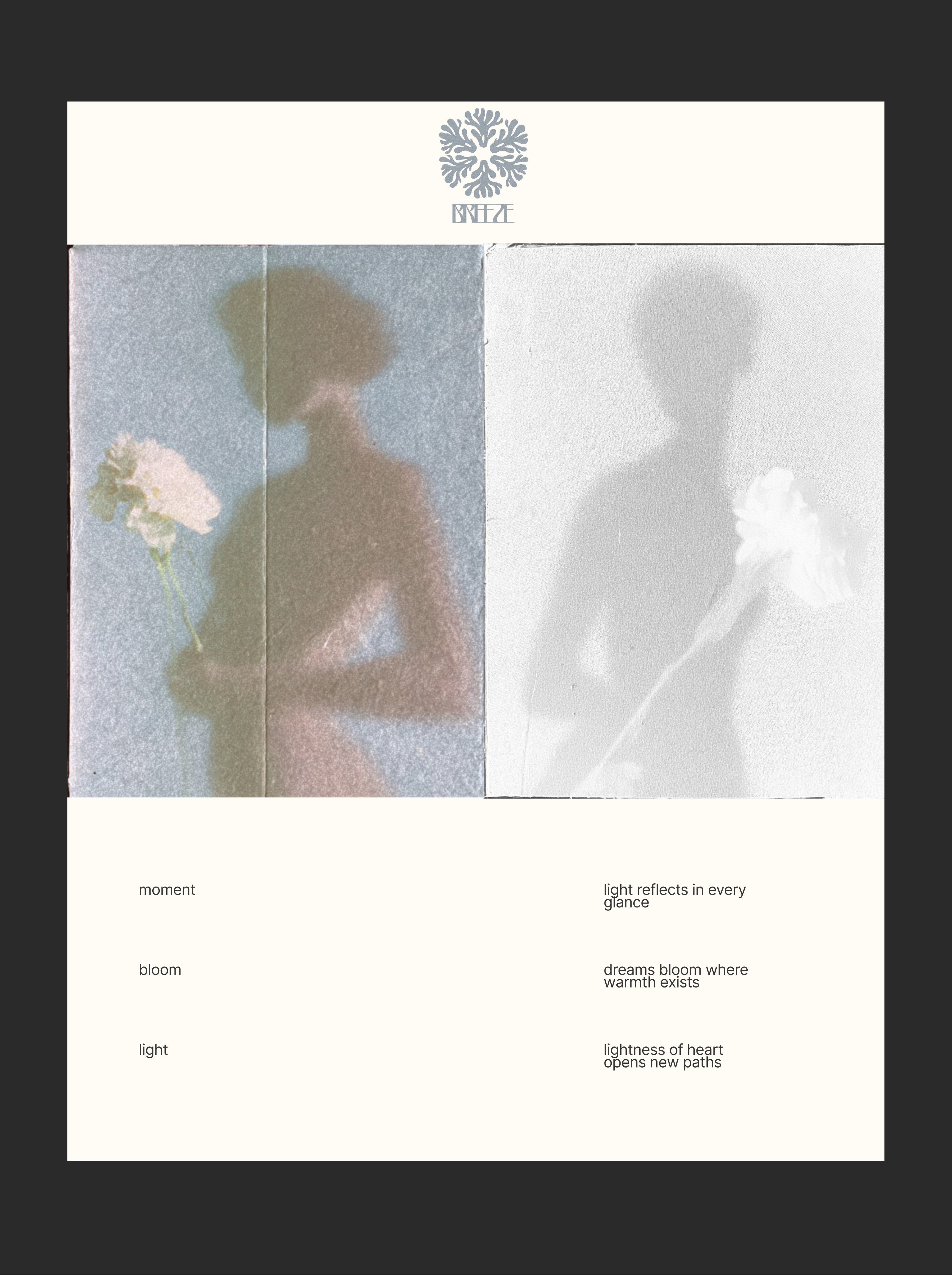 SOFT PRESENCE PROJECT / ТИХОЕ ПРИСУТСТВИЕ — Изображение №2 — Брендинг, Графика на Dprofile