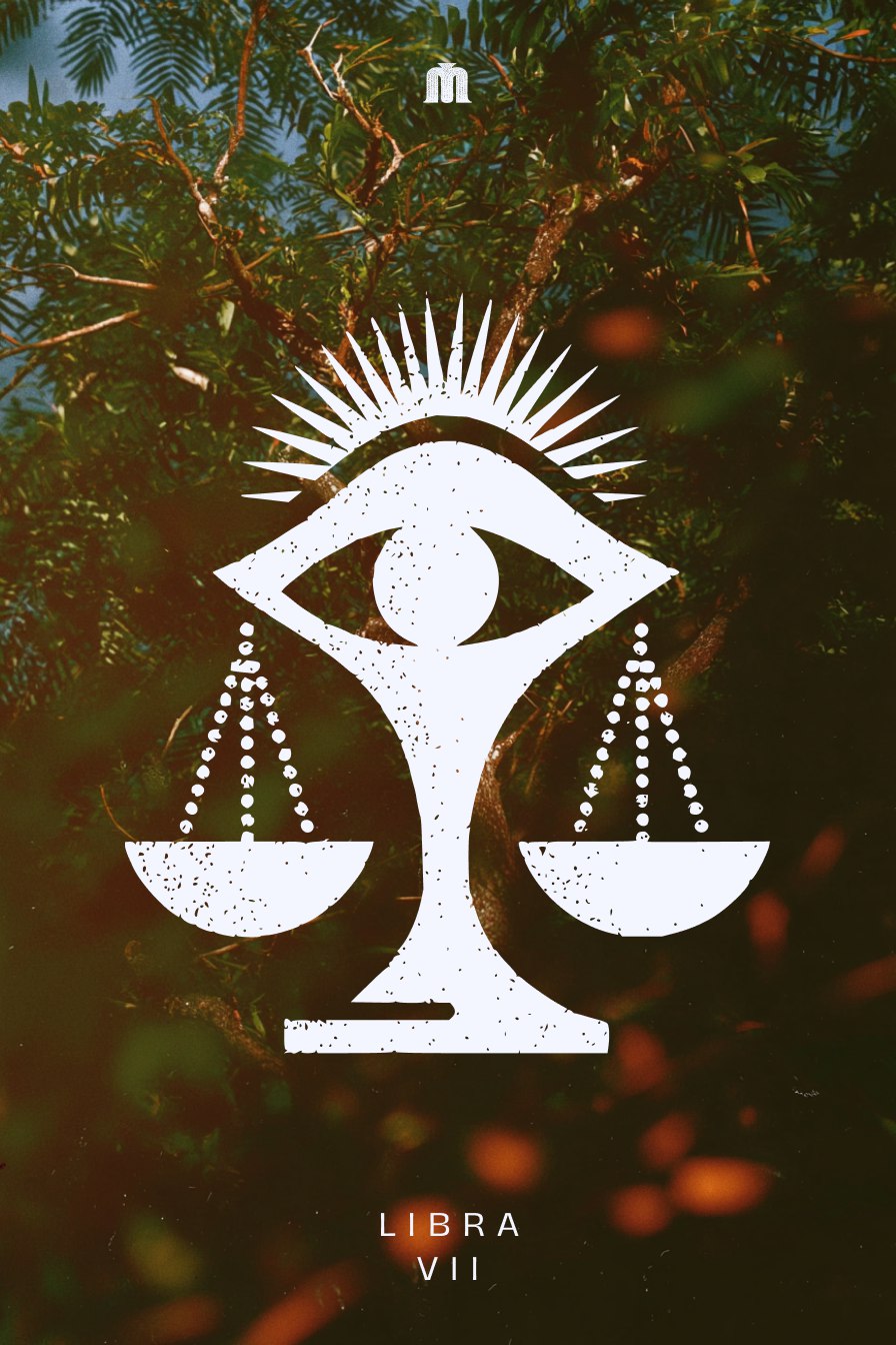 Zodiac signs — Изображение №8 — Иллюстрация, Графика на Dprofile