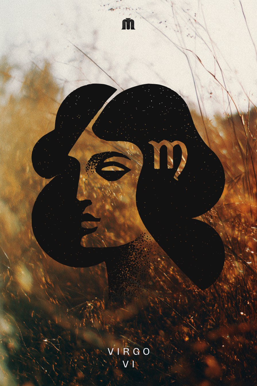 Zodiac signs — Изображение №7 — Иллюстрация, Графика на Dprofile