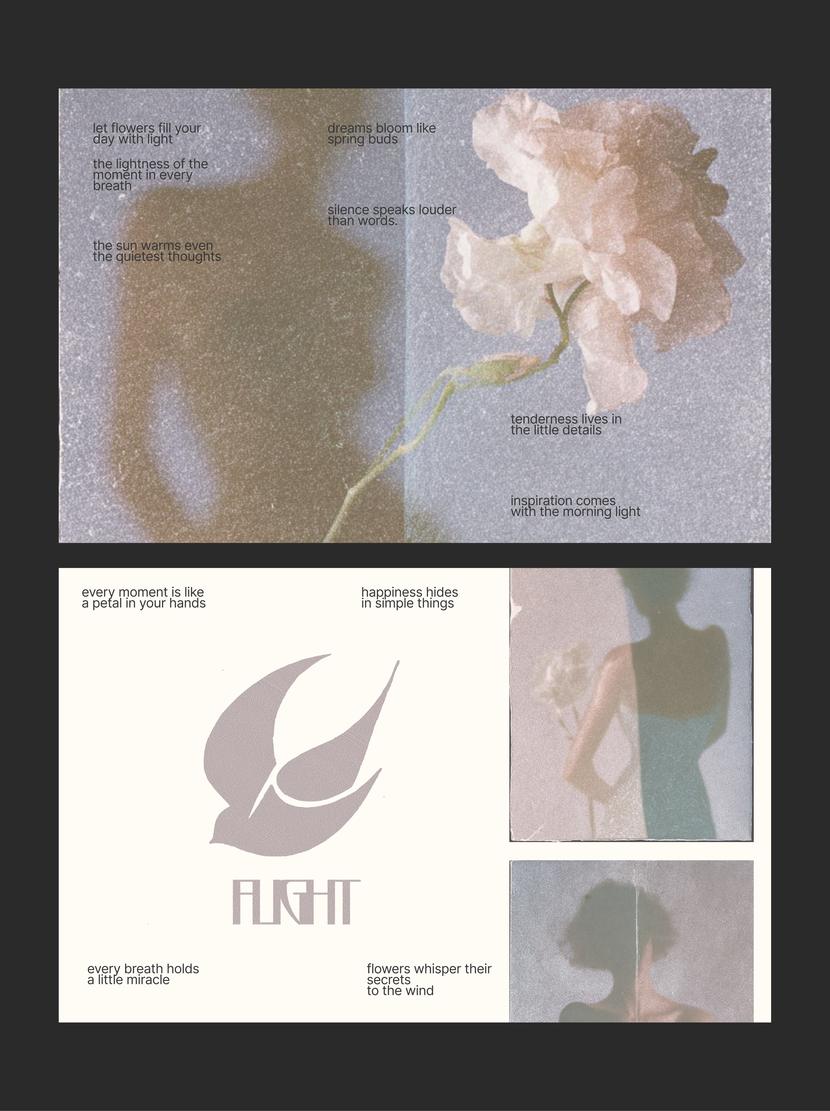 SOFT PRESENCE PROJECT / ТИХОЕ ПРИСУТСТВИЕ — Изображение №1 — Брендинг, Графика на Dprofile