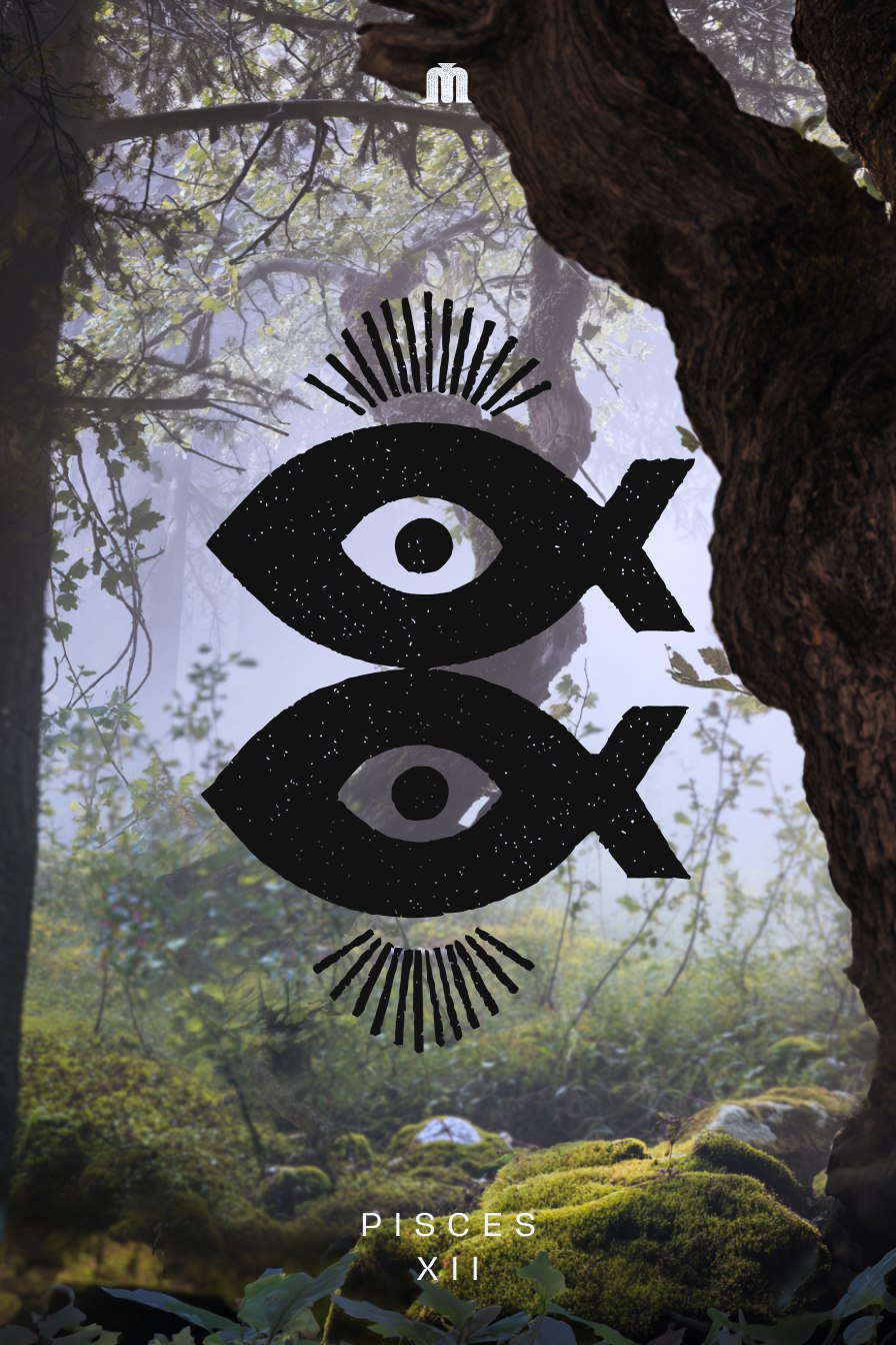 Zodiac signs — Изображение №13 — Иллюстрация, Графика на Dprofile