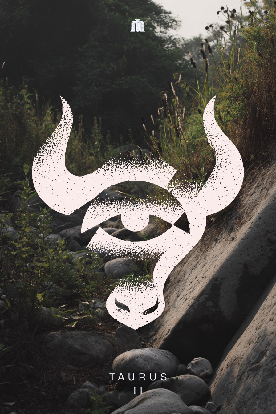 Zodiac signs — Изображение №3 — Иллюстрация, Графика на Dprofile