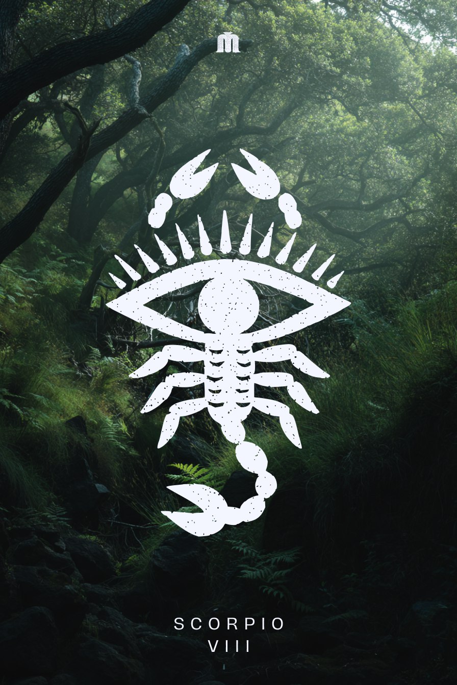 Zodiac signs — Изображение №9 — Иллюстрация, Графика на Dprofile