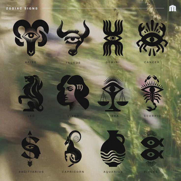 Zodiac signs — Изображение №1 — Иллюстрация, Графика на Dprofile