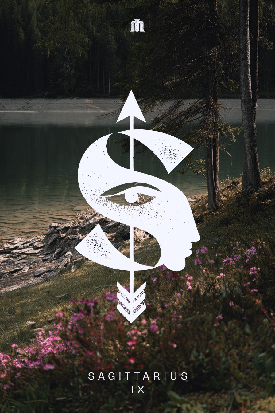 Zodiac signs — Изображение №10 — Иллюстрация, Графика на Dprofile