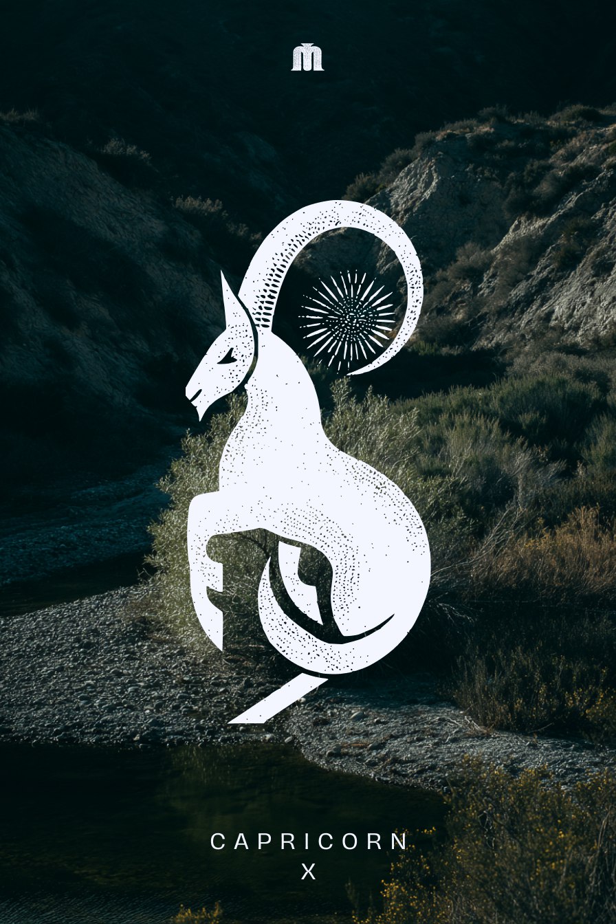 Zodiac signs — Изображение №11 — Иллюстрация, Графика на Dprofile