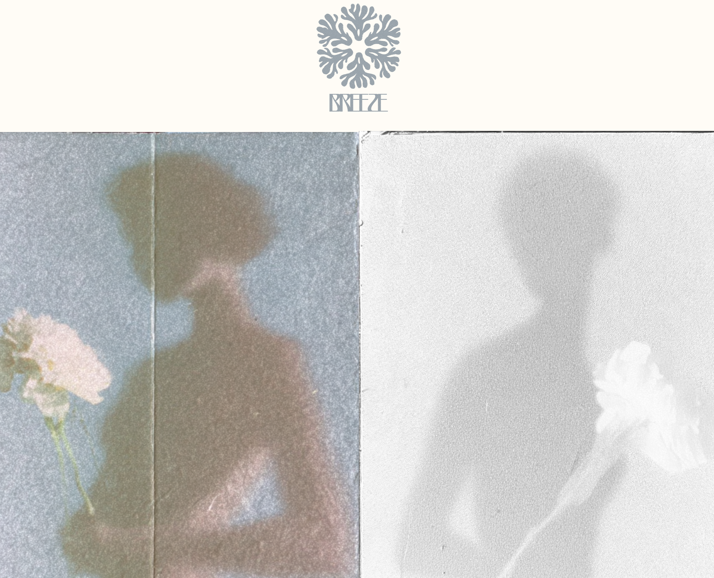 SOFT PRESENCE PROJECT / ТИХОЕ ПРИСУТСТВИЕ на Dprofile