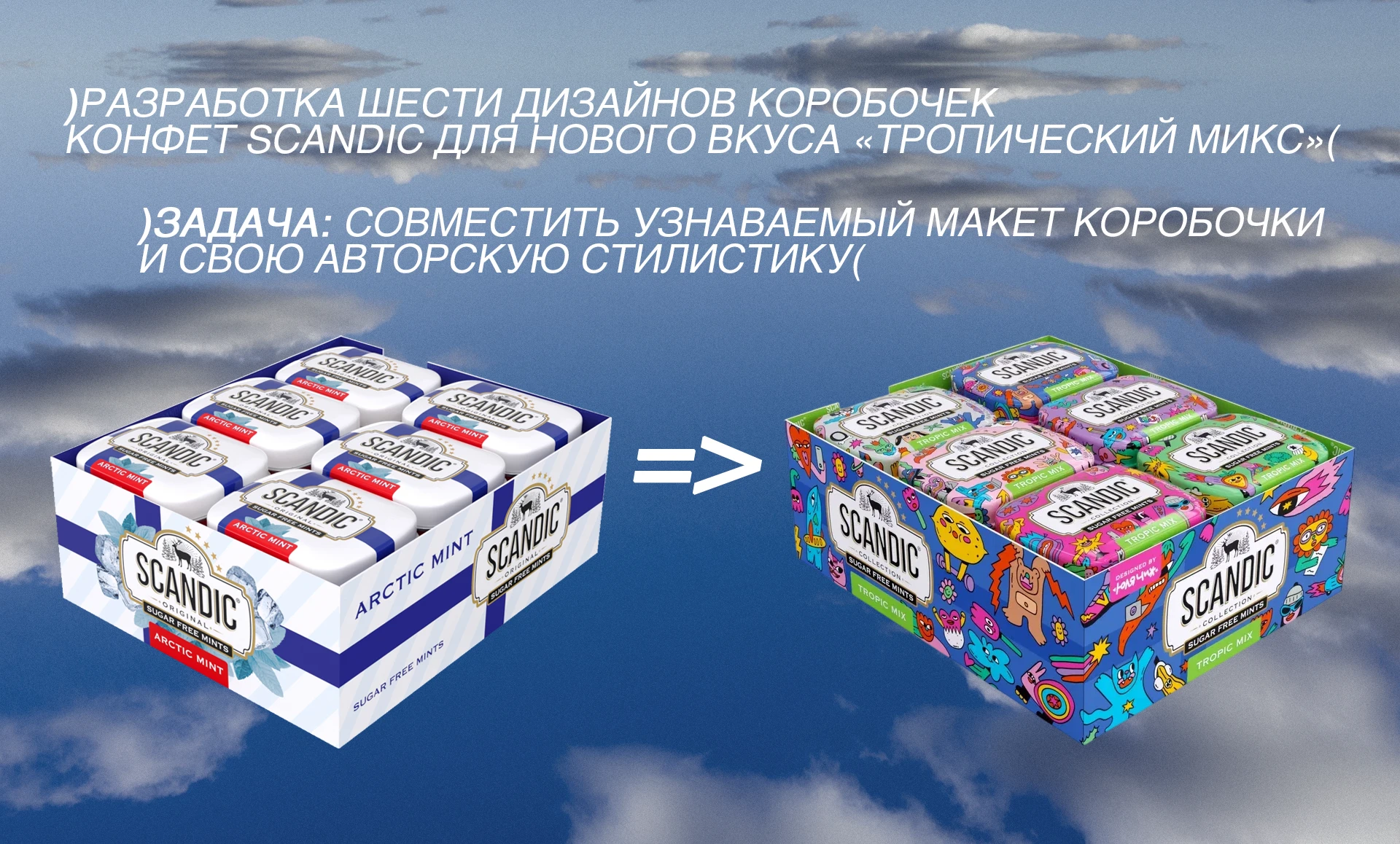 ИЛЛЮСТРАЦИИ УПАКОВКИ SCANDIC Х ЮЛЯ ЧИЖ — Изображение №2 — Брендинг, Иллюстрация на Dprofile