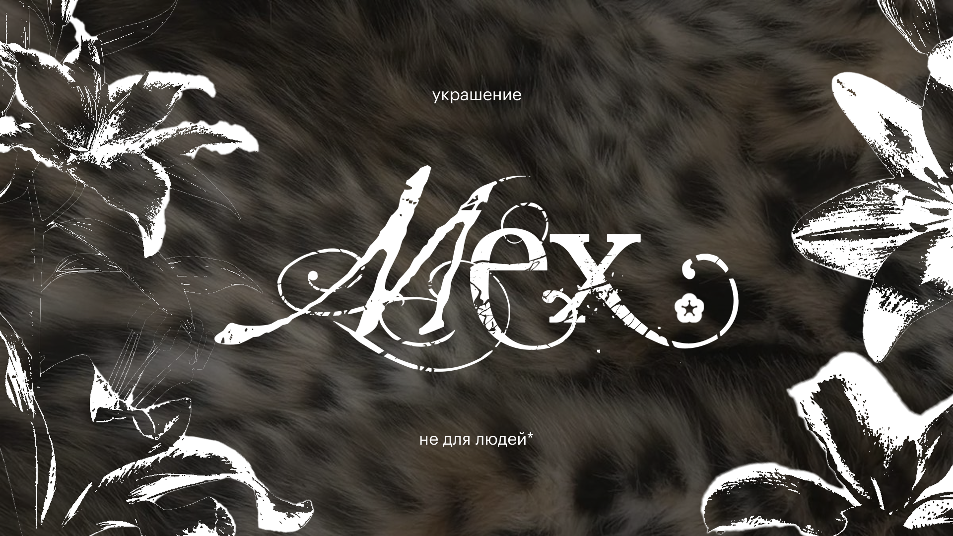 МЕХ – украшение не для людей* — Изображение №1 — Графика на Dprofile