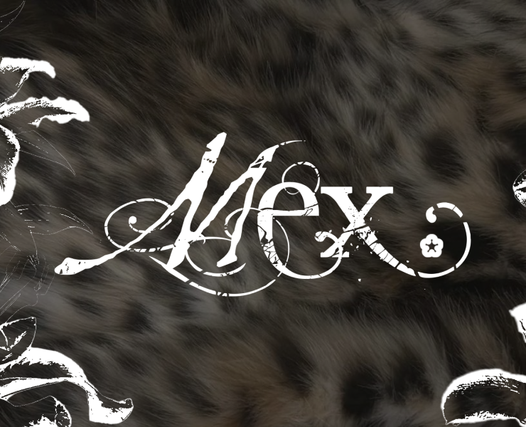 МЕХ – украшение не для людей* на Dprofile