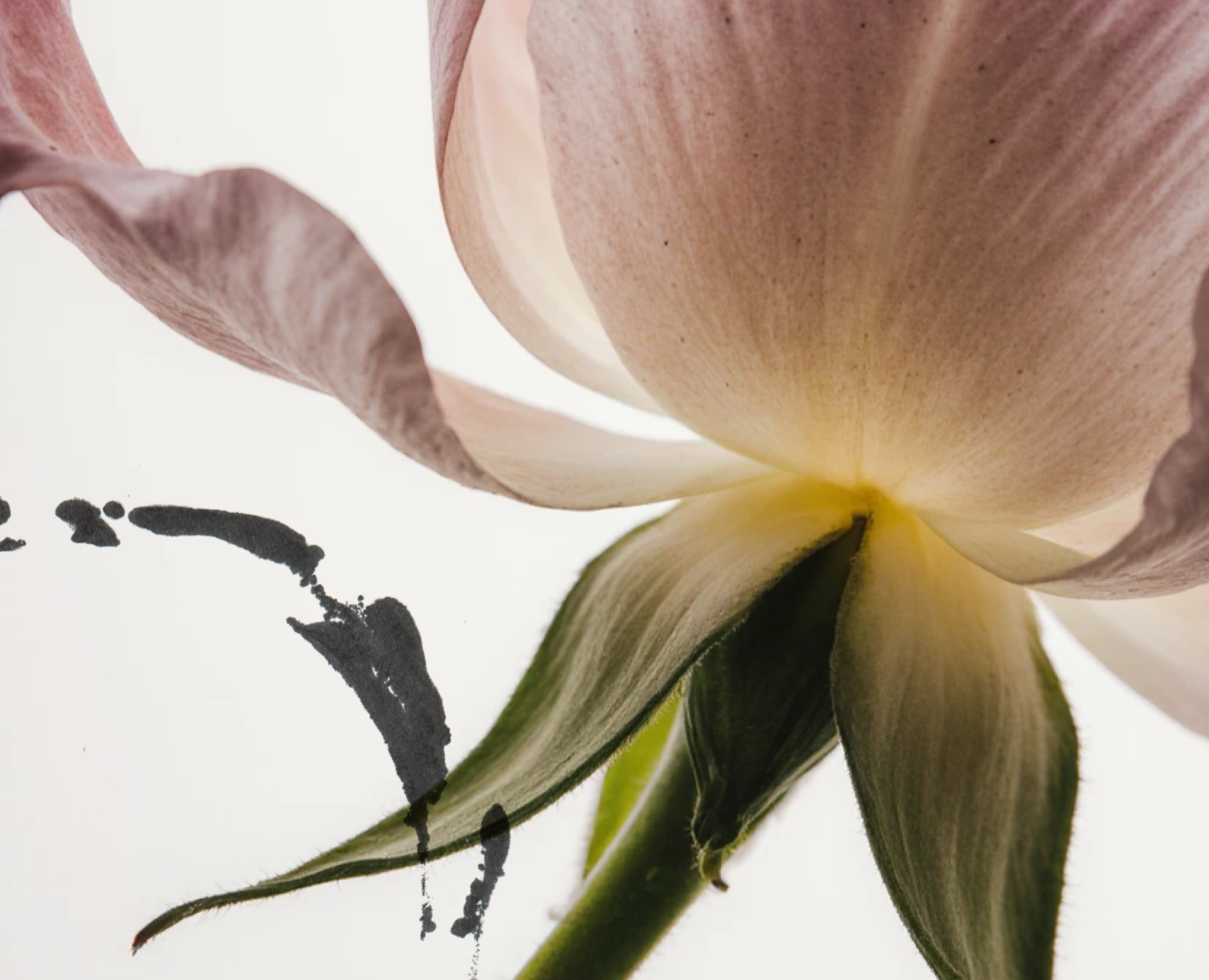 Gorkiy / AI Video на Dprofile