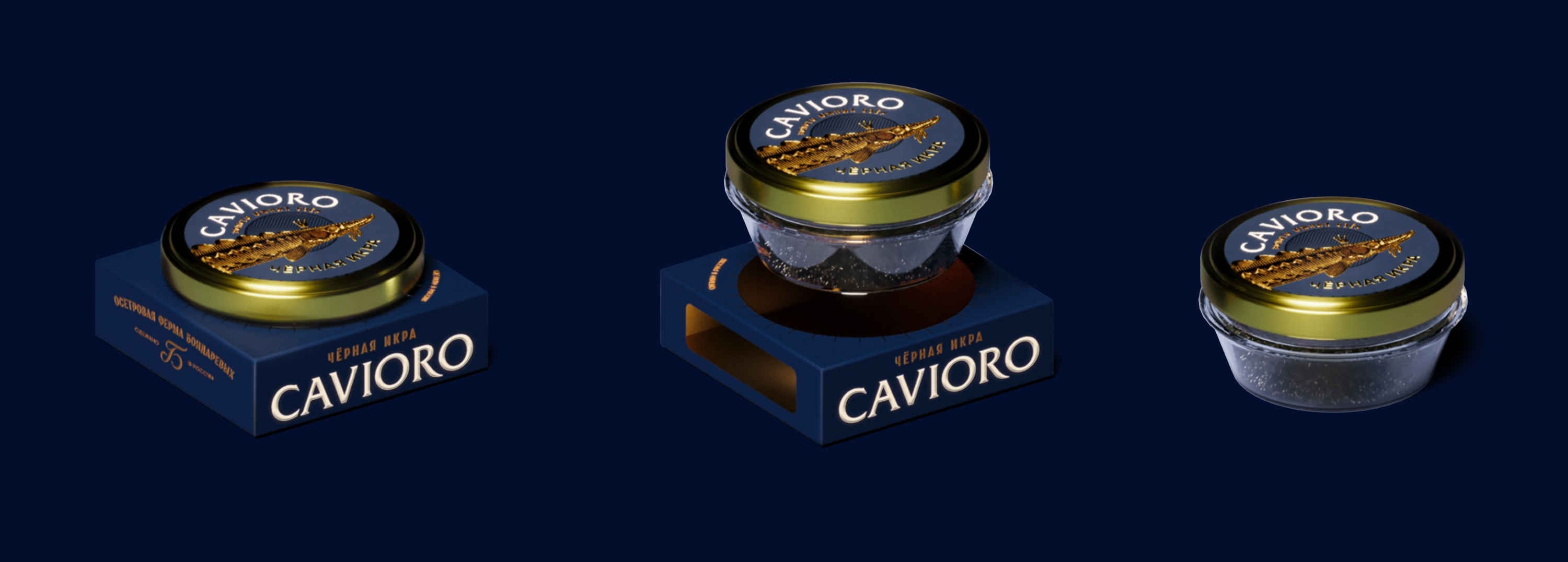 CAVIORO — Изображение №5 — Брендинг, Промдизайн на Dprofile