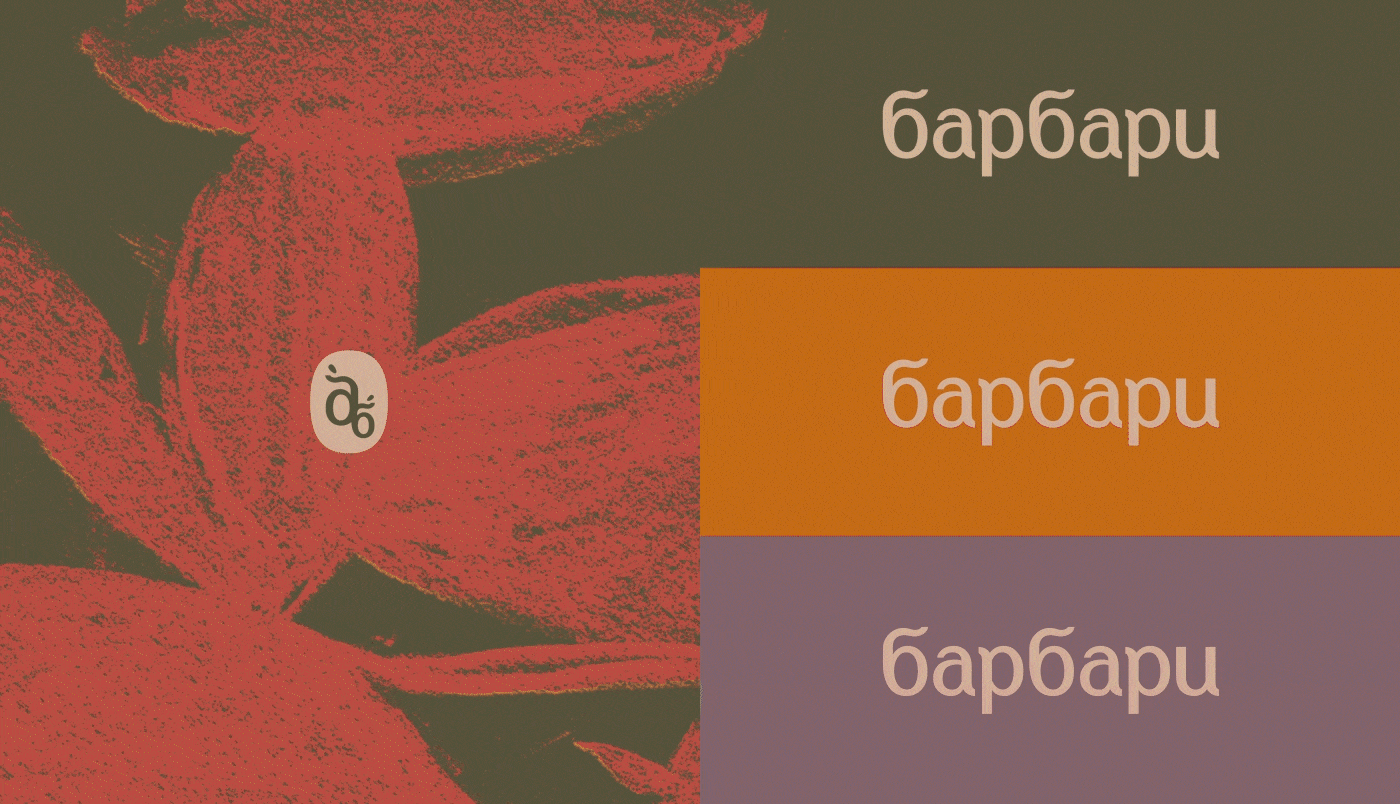 Барбари — Изображение №6 — Брендинг, Иллюстрация на Dprofile
