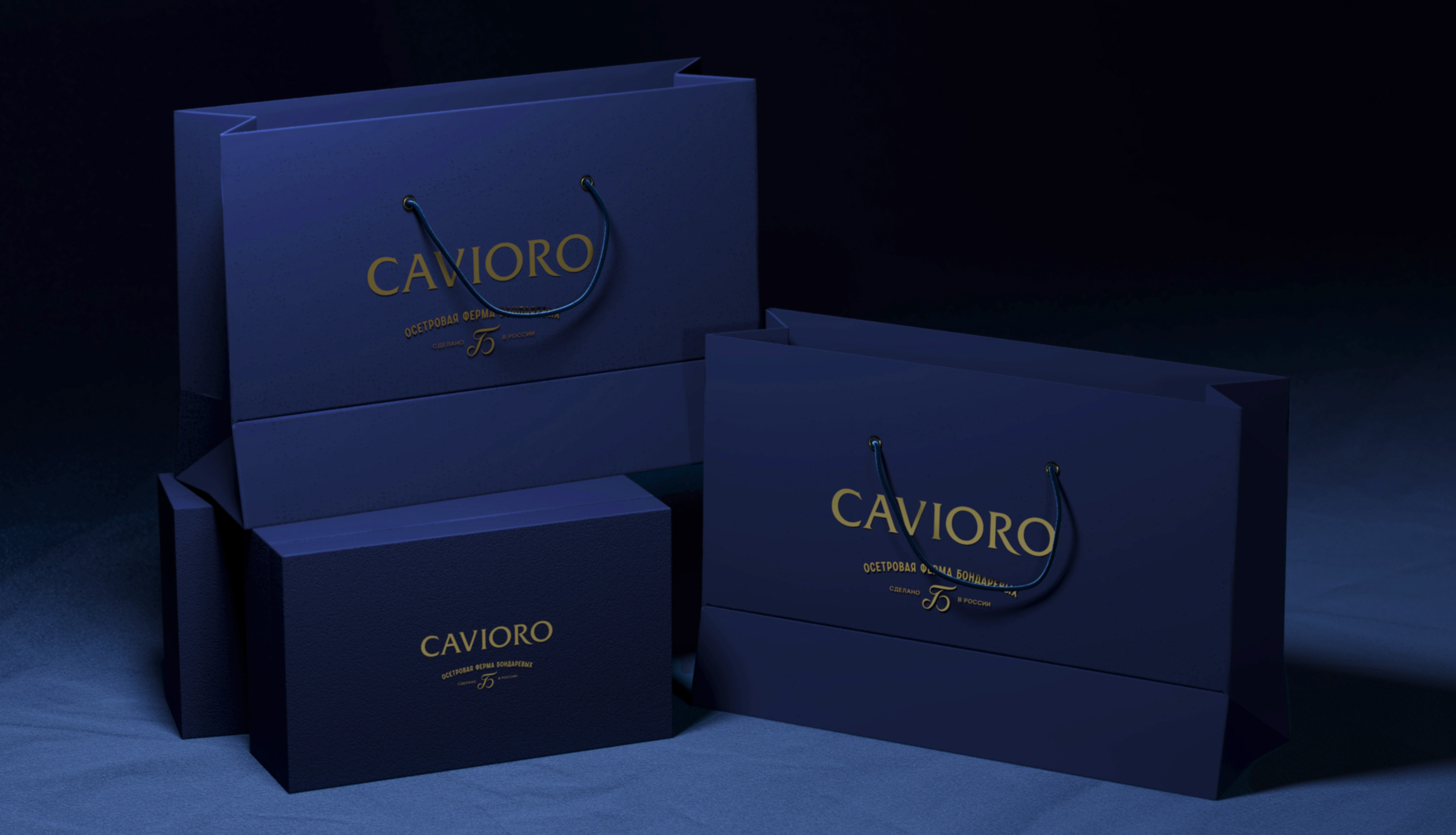 CAVIORO — Изображение №9 — Брендинг, Промдизайн на Dprofile