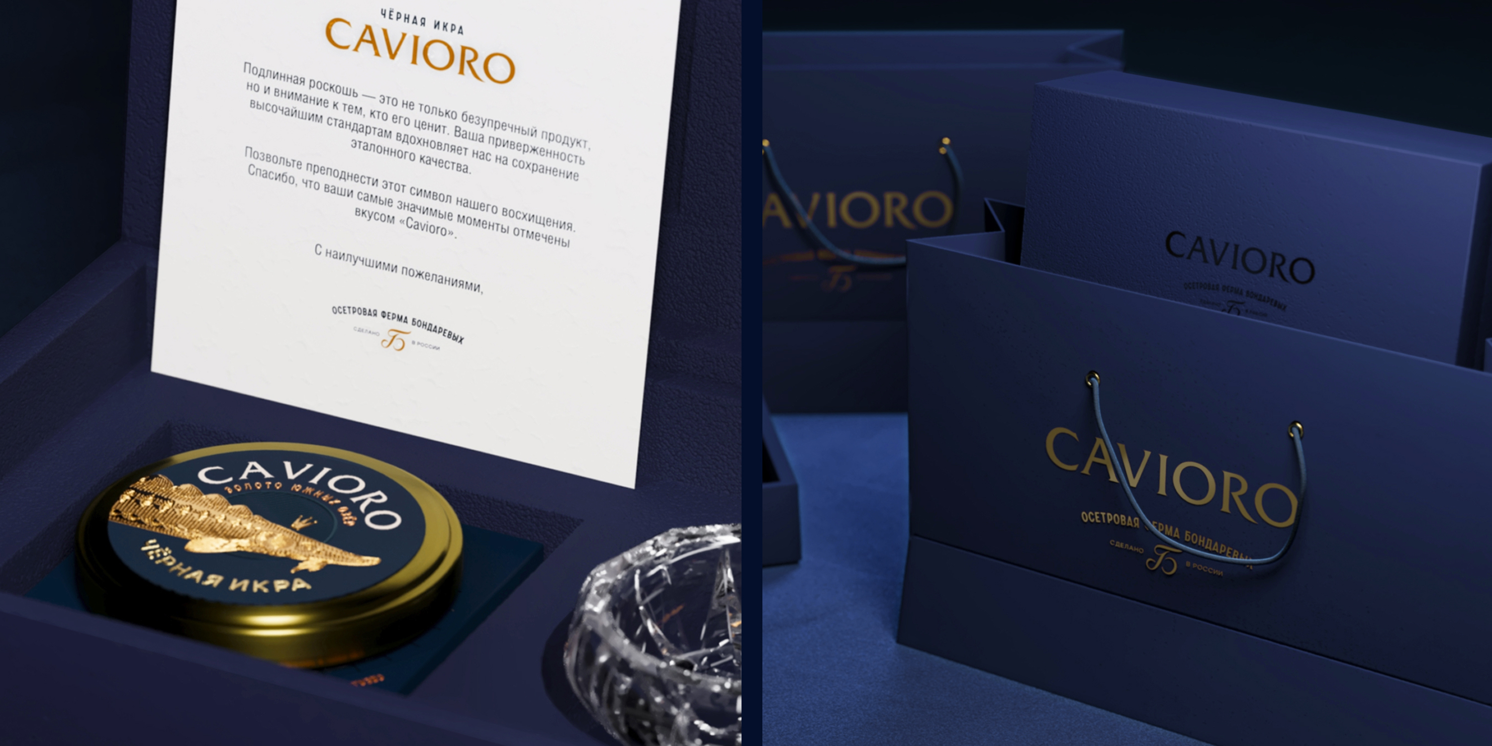 CAVIORO — Изображение №10 — Брендинг, Промдизайн на Dprofile