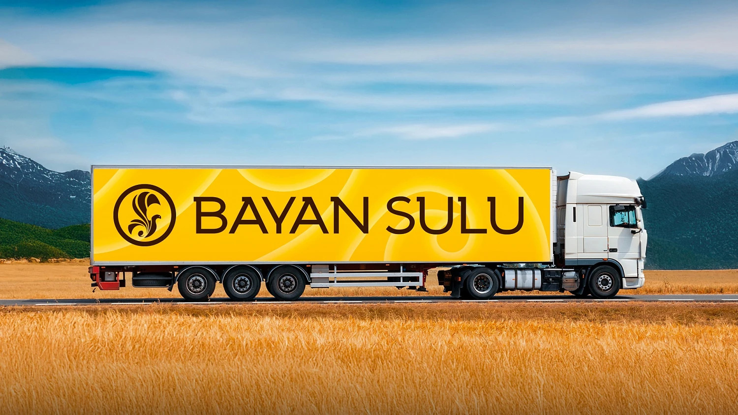 Bayan Sulu: ребрендинг кондитерской фабрики в Казахстане — Изображение №10 — Брендинг на Dprofile