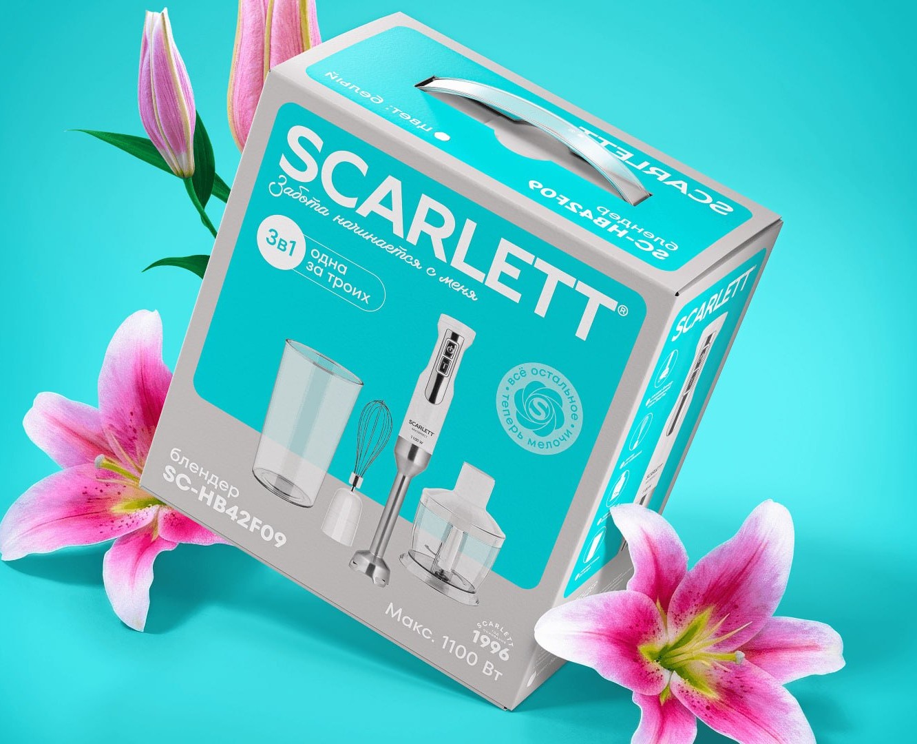 Scarlett: ребрендинг, который вывел бренд в новый сегмент — Брендинг на Dprofile