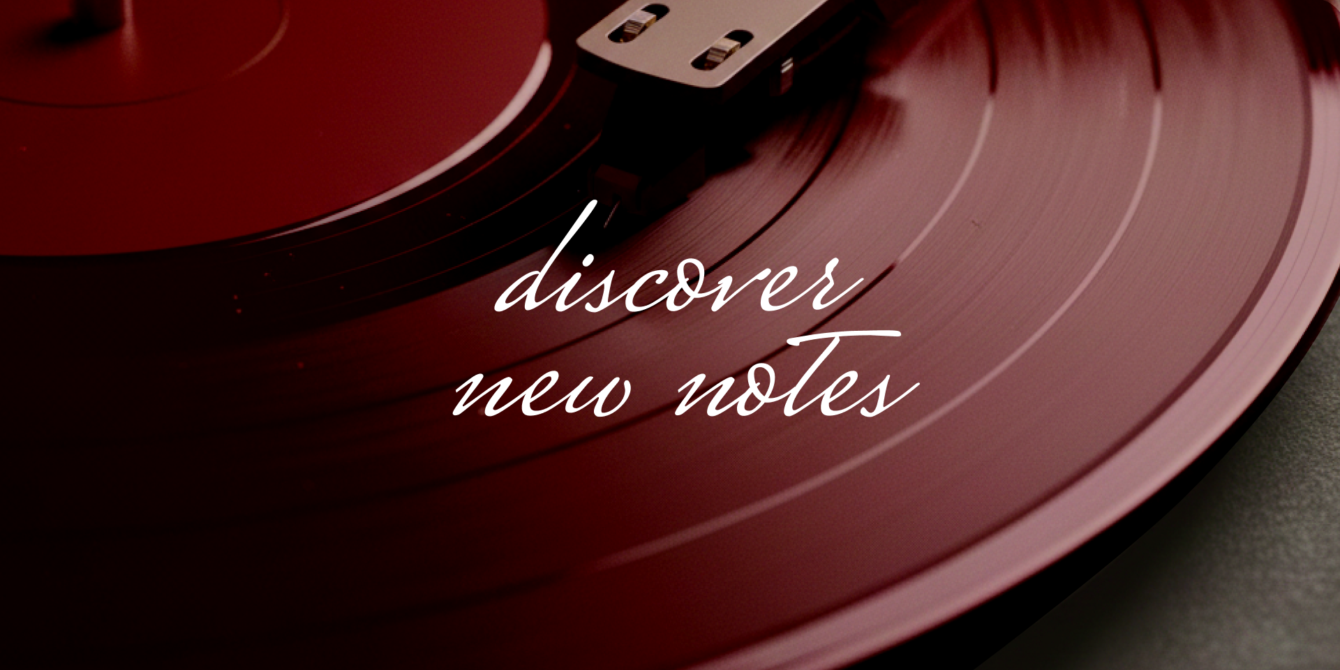 Rild | Айдентика для дистрибьютора парфюма — Изображение №4 — Брендинг, Графика на Dprofile