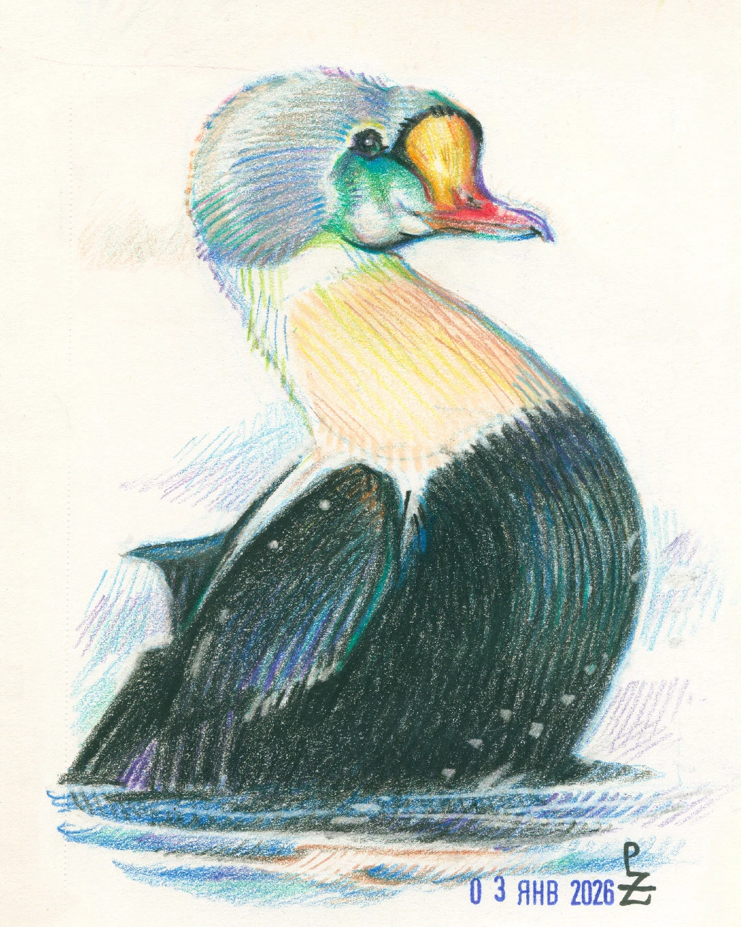 Птицы цветными карандашами — Изображение №3 — Иллюстрация, Графика на Dprofile