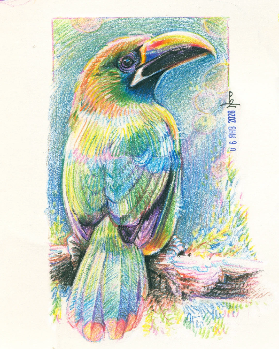 Птицы цветными карандашами — Изображение №6 — Иллюстрация, Графика на Dprofile