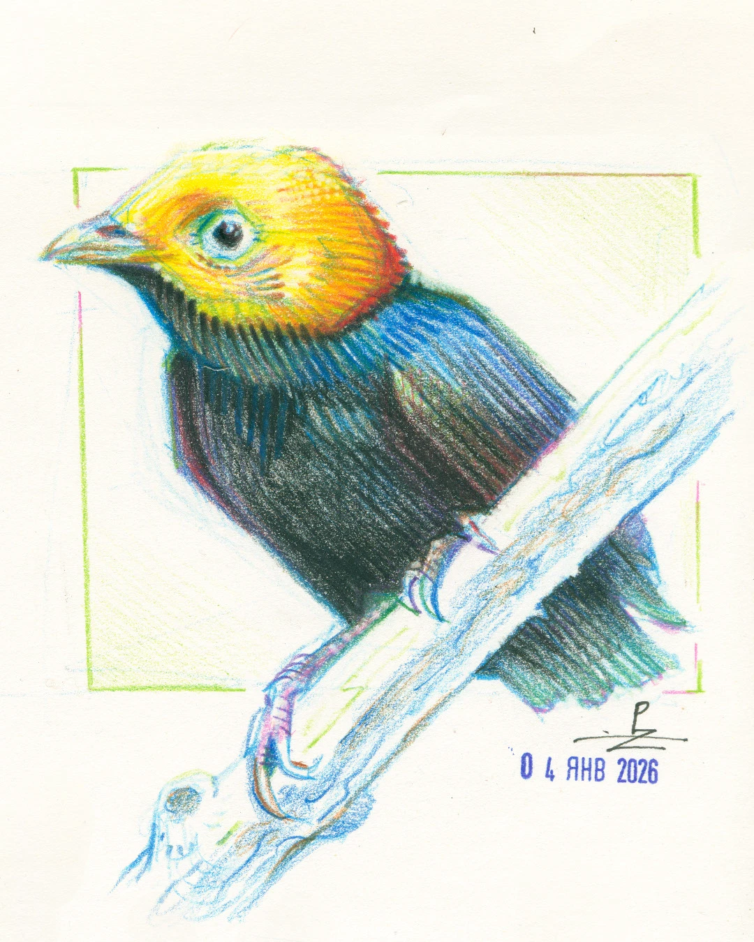 Птицы цветными карандашами — Изображение №5 — Иллюстрация, Графика на Dprofile