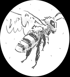 Ink Drawings vol. 6 — Изображение №12 — Иллюстрация, Графика на Dprofile