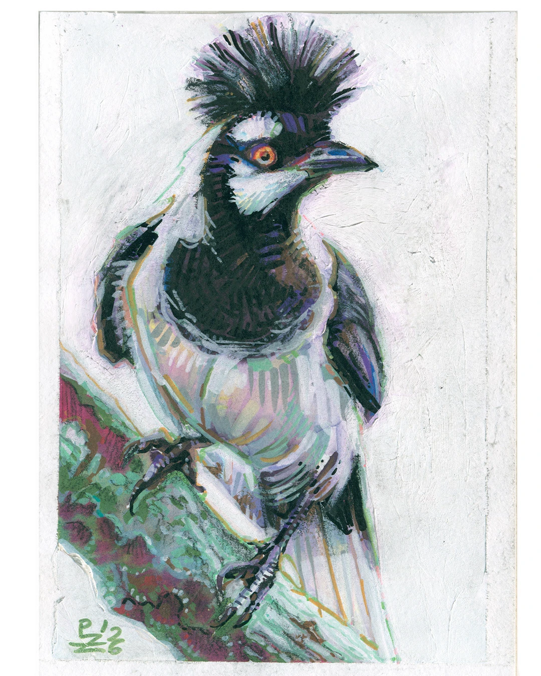 Птицы цветными карандашами. том 2 — Изображение №7 — Иллюстрация, Графика на Dprofile