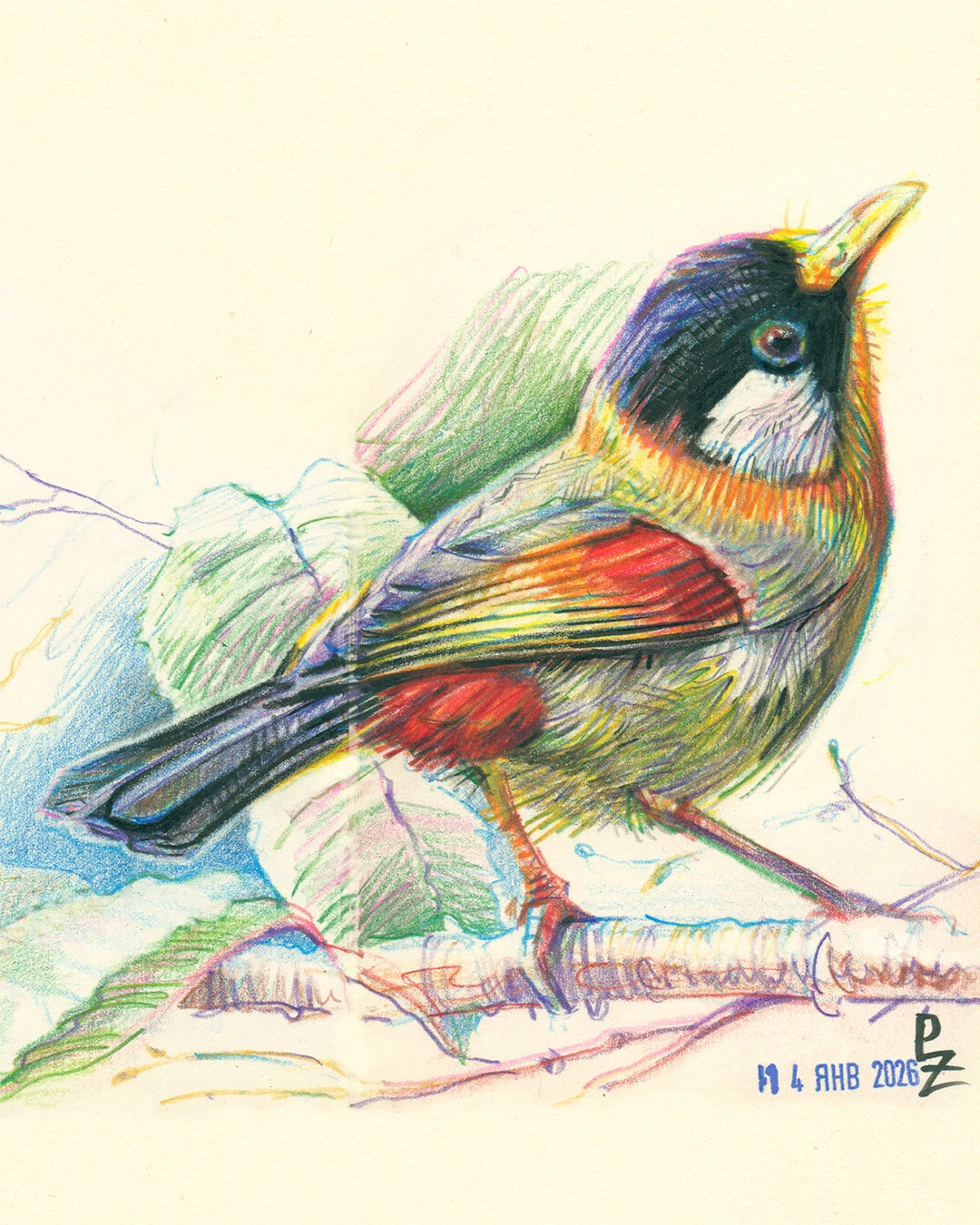 Птицы цветными карандашами. том 2 — Изображение №3 — Иллюстрация, Графика на Dprofile