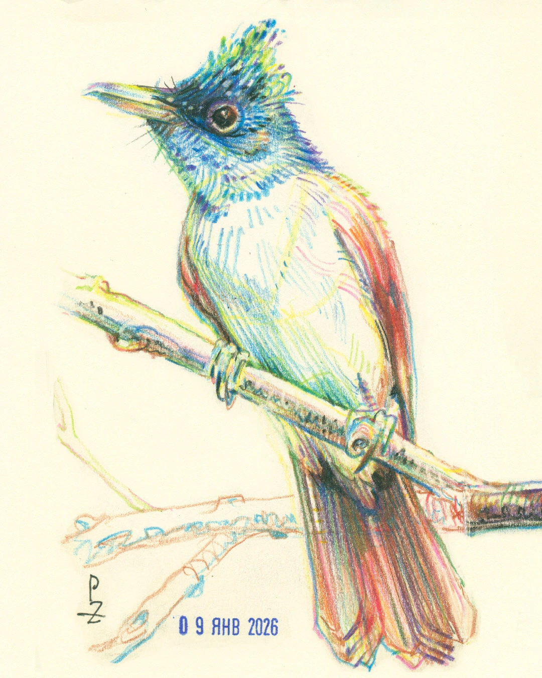 Птицы цветными карандашами — Изображение №9 — Иллюстрация, Графика на Dprofile