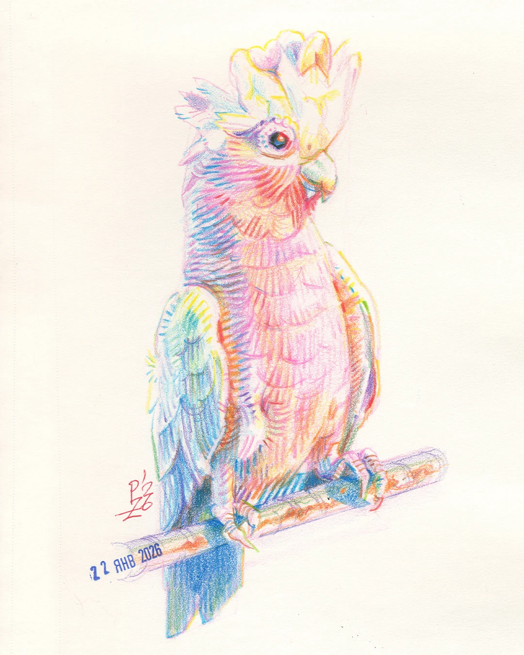 Птицы цветными карандашами. том 2 — Изображение №11 — Иллюстрация, Графика на Dprofile