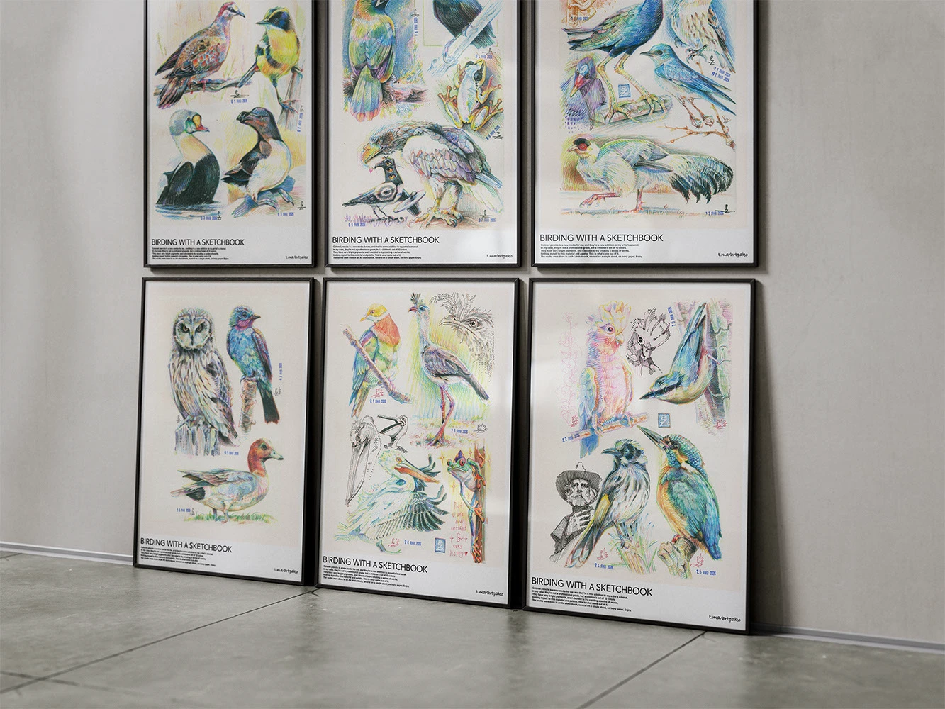 Птицы цветными карандашами — Изображение №12 — Иллюстрация, Графика на Dprofile