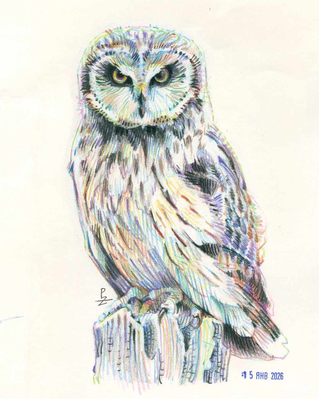 Птицы цветными карандашами. том 2 — Изображение №4 — Иллюстрация, Графика на Dprofile