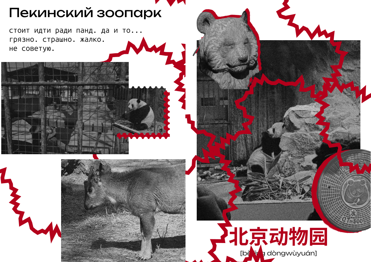 Зин "Нихао, лаовей" мои приключения в поднебесной — Изображение №13 — Графика на Dprofile