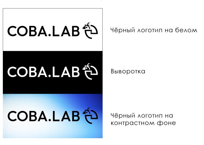 Разработка концепции фирменного блока для COBA.LAB — Изображение №9 — Брендинг на Dprofile